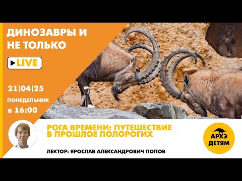 Занятие "Рога времени: путешествие в прошлое полорогих" Динозавры и не только с Ярославом Поповым
