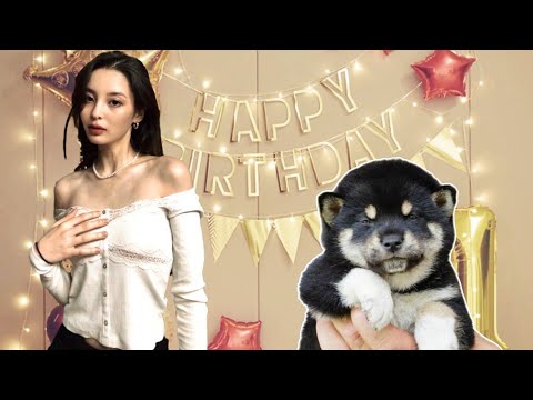 Новый щенок и день рождения Софии / Часть 1 / KOREA VLOG