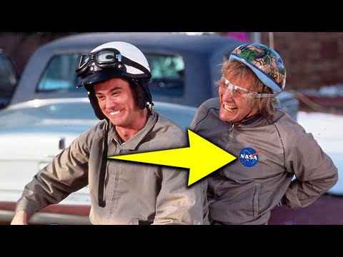 Dumb and Dumber (1994) 20 Weird Facts You Didnt Know
