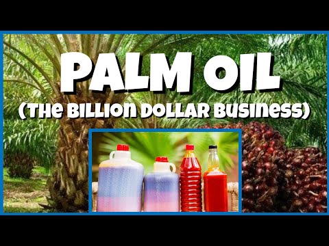Why A Retired Ghanaian Teacher Established Profitable Commercial Oil Palm Processing Business
