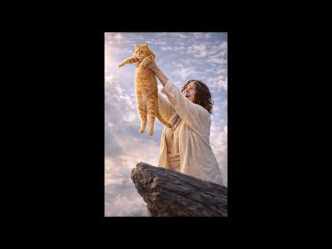 Le Petit Créneau Calme -  L'alignement des objets du Salon Episode 1