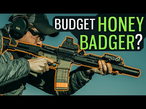 Can You Get A Budget 300BLK Honey Badger?