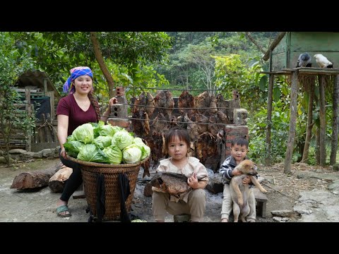 Harvesting cabbage and dried fish to sell at the market - taking care of chicks and ducklings.