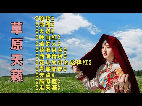 好听.驼铃..鸿雁..天边..映山红..追梦人..荷塘月色..西海情歌.