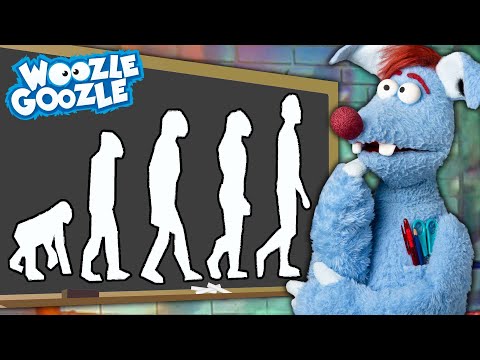 Woher kommt der Mensch? l WOOZLE GOOZLE