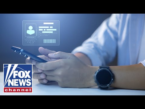 'IT'S QUITE TERRIFYING': Journalist sounds alarm over push for digital IDs