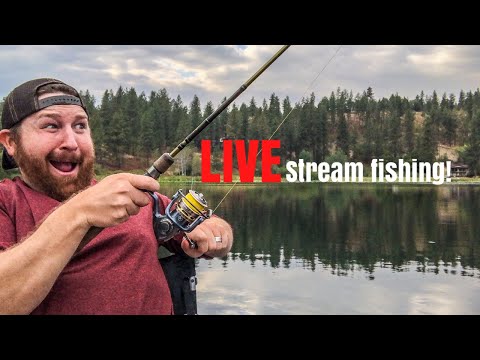 Fishing from my canoe - live stream
