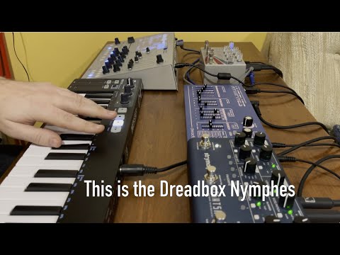Ambient jam with the Dreadbox Nymphes, Tasty Chips GR-1, Strymon NightSky, and Empress Reverb