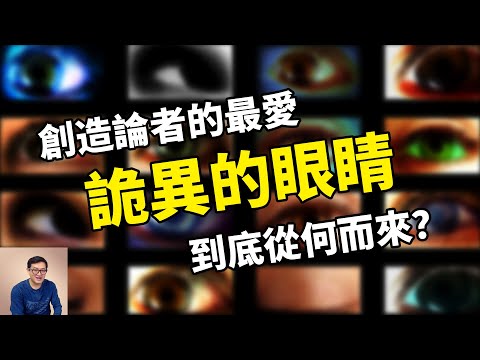 創造論者最喜歡講的眼睛進化！人類眼睛與章魚眼睛暗示了什麼秘密？演化論OR智能設計論？【老肉雜談】
