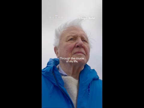 David Attenborough on the importance of our oceans