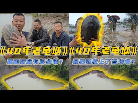 小飞哥花60万包下40年的老龟塘，看看里面的龟到底有多大？#户外抓鱼 #户外捕鱼 #小飞哥抓鱼 #乡村生活 #农村生活