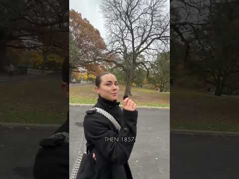 A brief History of Central Park in NYC, how it was created the Architecture that was once there