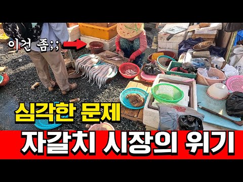 The tears of Busan's Jagalchi Market, empty despite spending 23.5 billion won.