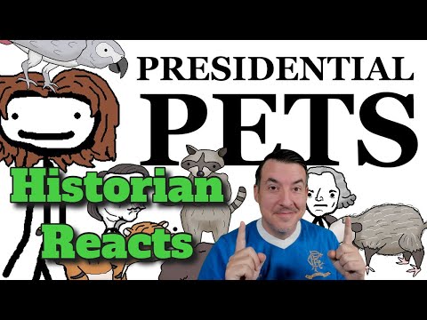 Presidential Pets: a Brief History - Sam O'Nella Academy Reaction