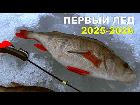 A FISHERMAN WENT TO THE LAKE ON FIRST ICE AND HIS HANDS WAS SHAKING FROM WHAT HE SAW! KARELIA WIN...