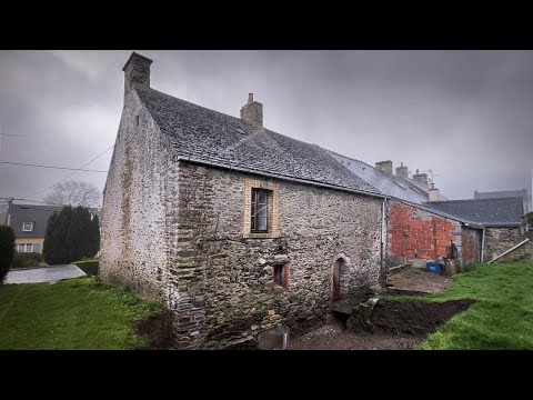 Dealing with The House Damp - One Year in Our Humid Home