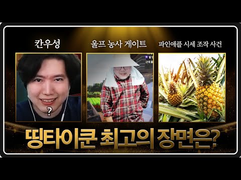 2024년 띵타이쿤 연말결산