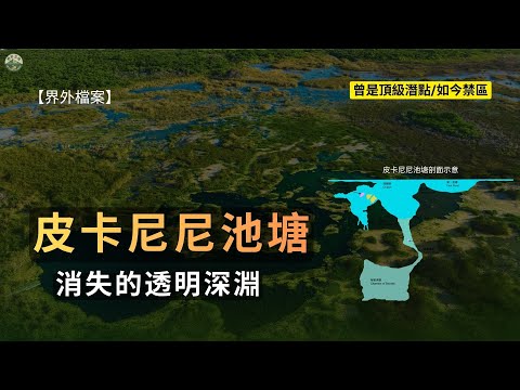 【真實潛水故事】皮卡尼尼池塘：消失的透明深淵｜三起致命事故的藍色裂隙