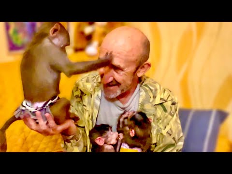 Люська-ЭТО УРАГАН! Влад закрывает Степу с Маней, но Люська  ДОСТАНЕТ ВСЕХ)))