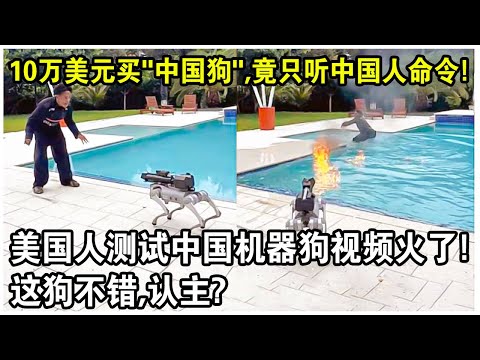 10萬美元買“中國狗”，竟只聽中國人的命令！美國人測試中國“機器狗”視頻火遍全網！網友感嘆：這狗不錯，認主？