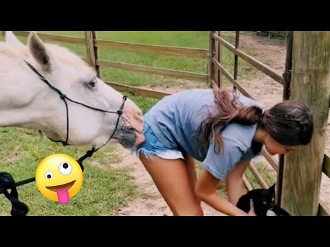 FUNNIEST Farm Animals! 😂 | Best Videos for families