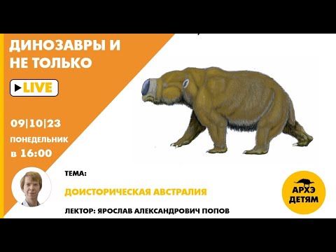 Занятие "Доисторическая Австралия" кружка "Динозавры и не только" с Ярославом Поповым