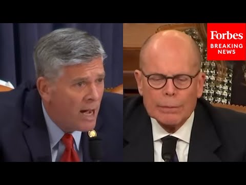 Darin LaHood Asks Healthcare CEO: What Challenges Are 'Preventing You From Lowering Prices?'