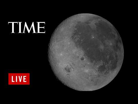 Watch Live: NASA Artemis II Crew Sets Distance Record With Lunar Flyby