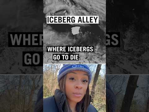 The World's Largest Iceberg Is On The Move