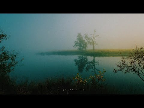 a playlist for quiet moments in the calm of your favorite reading nook