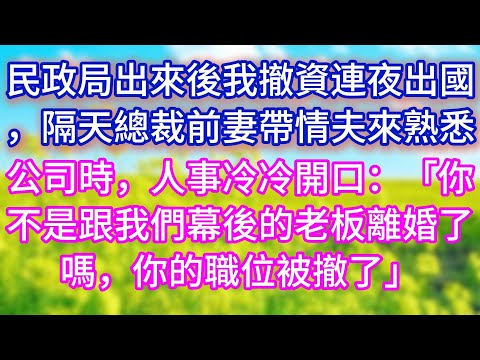 【完结】民政局出来后我撤资连夜出国，隔天总裁前妻带情夫来熟悉公司时，人事冷冷开口：「你不是跟我们幕后的老板离婚了吗，你的职位被撤了」#情感故事 #女性智慧 #霸道总裁 #情感故事 #现代情感#女主逆袭