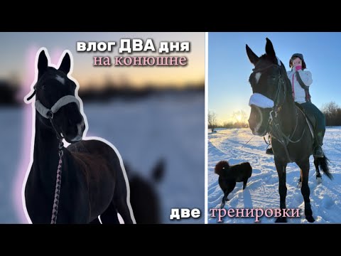 снова вернулась 😈 | ДВА дня на конюшне • vlog ❄️