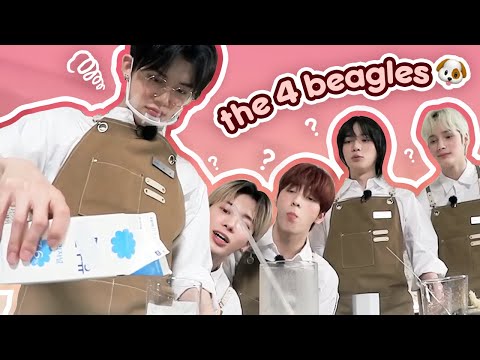 TXT Yeonjun and his four beagles🐶