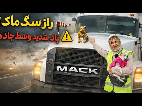 راز سگ ماک! 🐶🚛 باد شدید وسط جاده 🌬️⚠️