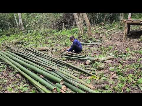 TIME LAPSE: The strong girl escaped the attack of the weirdo | Alone & Off Grid Living