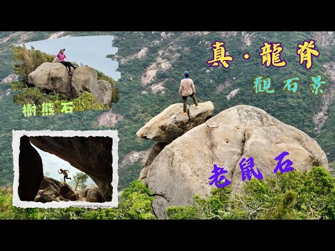 真·龍脊觀石景｜老鼠石｜樹熊石｜耳仔石｜雞髀石｜雲枕山｜哥連臣山 [香港行山郊遊好去處] #139 