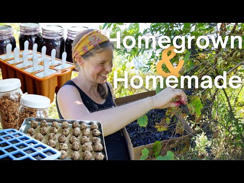 4 Snacks We Make on Repeat (5 Ingredients or Less!)