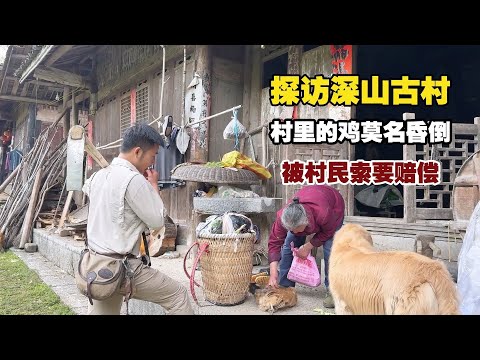探秘深山古村,村里的鸡莫名晕倒,被村民索赔,这事合理吗?【小白的奇幻旅行】