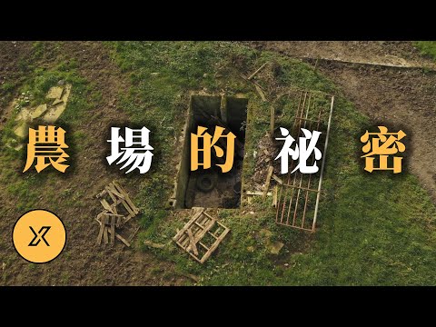 愛爾蘭牧場下的祕密，離奇消失的月光先生