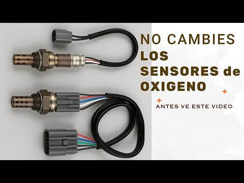 🔥What to Check When Your Oxygen Sensor Fails🔥This Could Save You Money✅