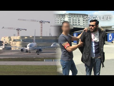 Roissy Charles de Gaulle : aéroport sous haute tension