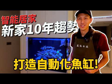 【藍箱水族】智能新家的魚缸！完整開箱智能魚缸宅~自動化居家新趨勢！西屯鄭先生