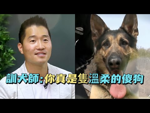 退役軍犬被收養後竟出現了嚴重的心理問題，訓犬師不僅用另類手段治愈了它，還為它現場搞起了相親節目