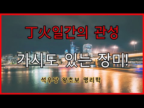 丁火일간 관성 가시도 있는 장미!(석우당 왕초보 명리학)