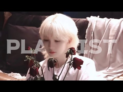 내가 듣고 싶어서 만든 내 취향 세븐틴 노래 모음