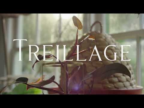 Bunny Williams introduces Treillage, a new Bunny Williams Home collection