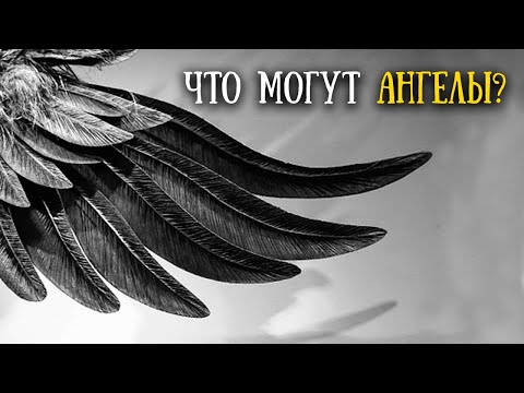 Who are the cherubim and seraphim? Angels and their role