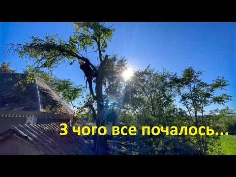 Арбористика - початок | 10 дерев за день |