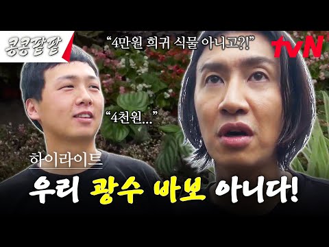 바가지 제대로 맞은 이광수😇 R.I.P 희귀하지 않았던 희귀식물... #highlight #콩콩팥팥 #콩심은데콩나고팥심은데팥난다 EP.5