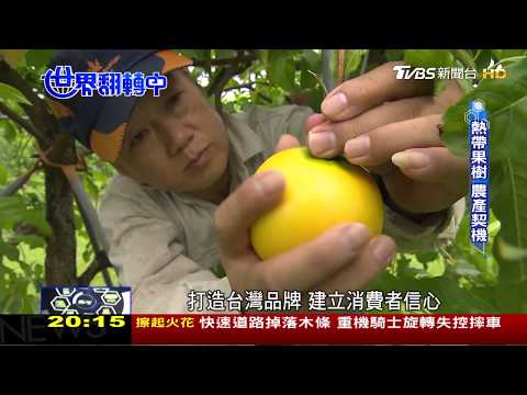 氣候暖化成契機 熱帶果樹前景可期 世界翻轉中 20191013